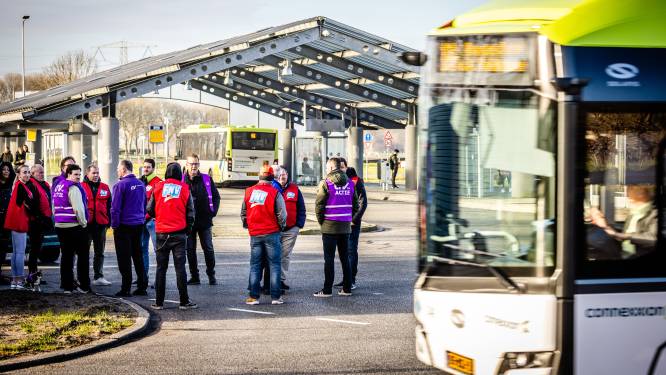 Streekvervoer ligt vijf dagen plat: ‘Helft van alle bussen rijdt’