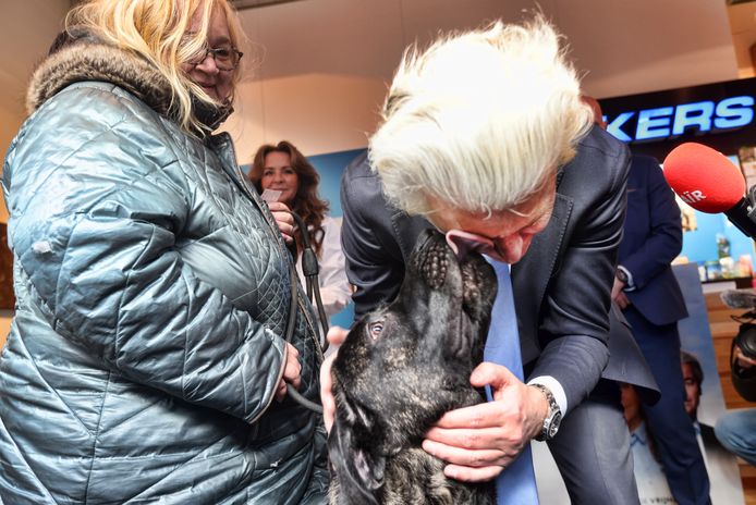 Geert Wilders krijgt een lik van een hond van één van de cliënten van de dierenvoedselbank in Spijkenisse.