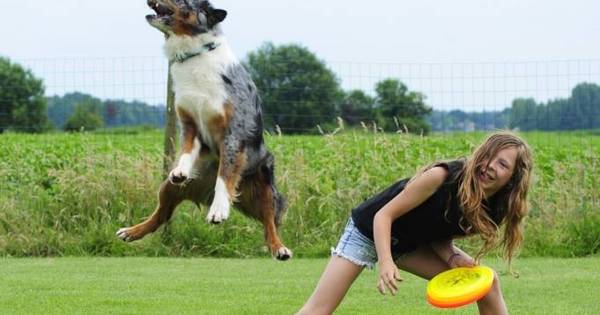 Amy en Ross schitteren op WK Dog Frisbee - De Stentor