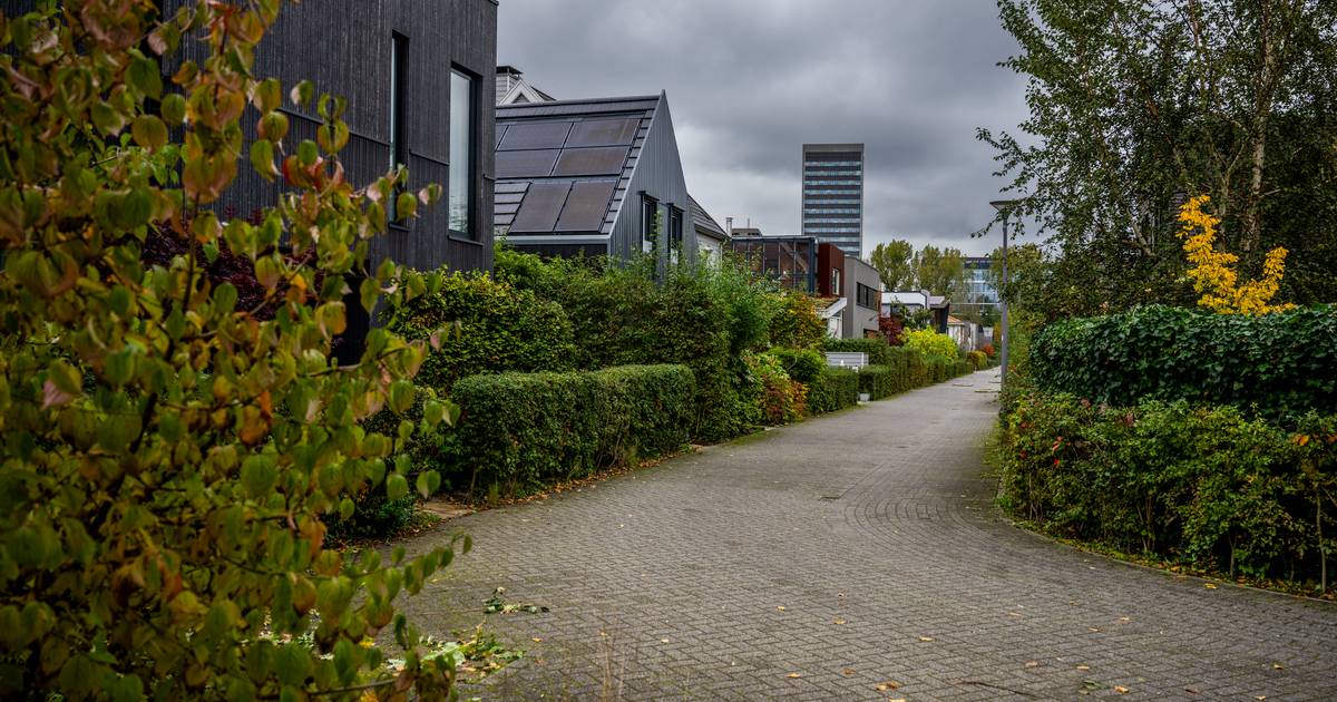 Bewoner PFAS-wijk vreest gezondheid: 'Drie jaar at ik elke dag groente uit moestuin naast vervuilde sloot'