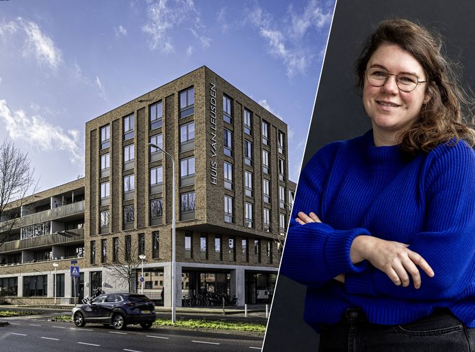 een-adviesbureau-inschakelen-om-orde-op-zaken-te-stellen-in-politiek