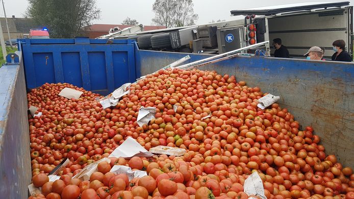 Alle tomaten worden in containers gegooid om weggebracht te worden.