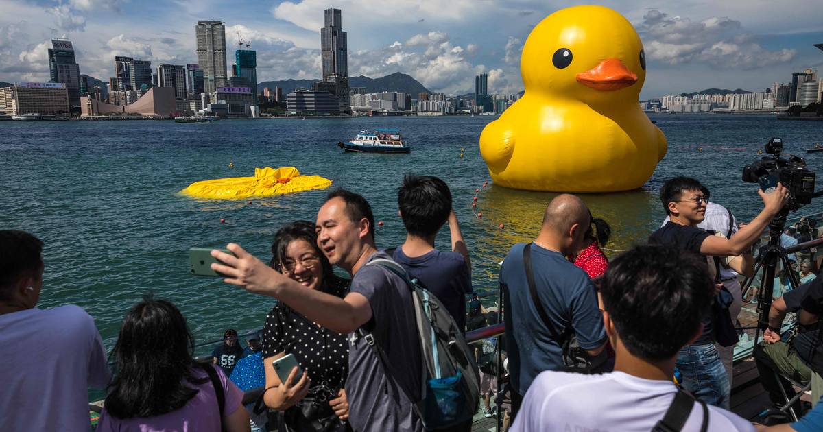 Oggi anche questa enorme papera di gomma ha ceduto al caldo |  al di fuori