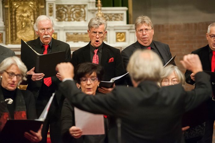 Het Zaltbommels Kamerkoor tijdens een optreden in de Sint-Martinuskerk in 2017.