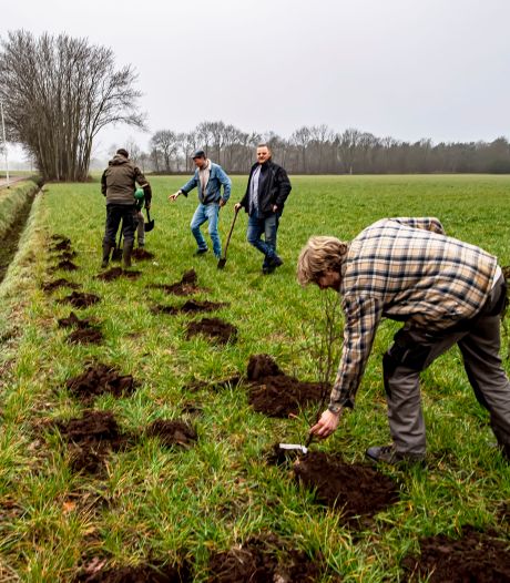 Voedselbos Vierhoeven krijgt er 3.000 bomen en 1.000 euro bij