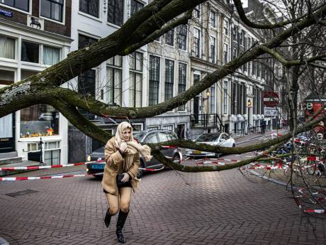 KNMI heeft code rood voor storm Eunice opgeheven: code geel nog van kracht in meerdere provincies