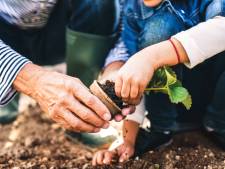 Tegels uit je tuin? De gemeente Dordt komt ze gratis ophalen