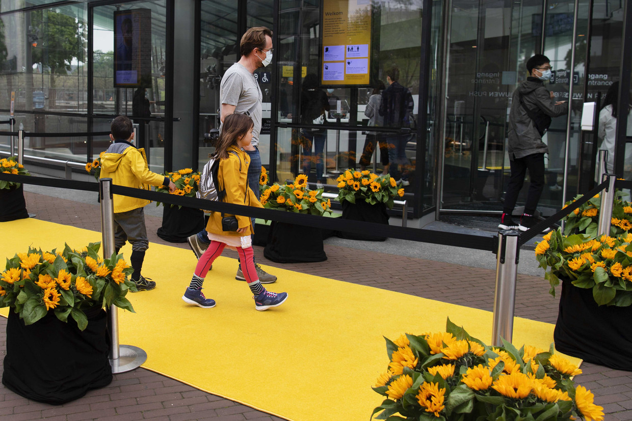 Zonnebloemen tijdens de heropening van het Van Gogh Museum. 