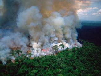 Onderzoekers waarschuwen: “Bosbranden in Amazonegebied verspreiden ziekten”