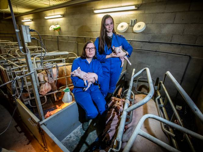 Jonge landbouwers Sofie en Anne Haesen bijten van zich af: “Megapluimveebedrijf? Het is verdorie een familiebedrijf!”