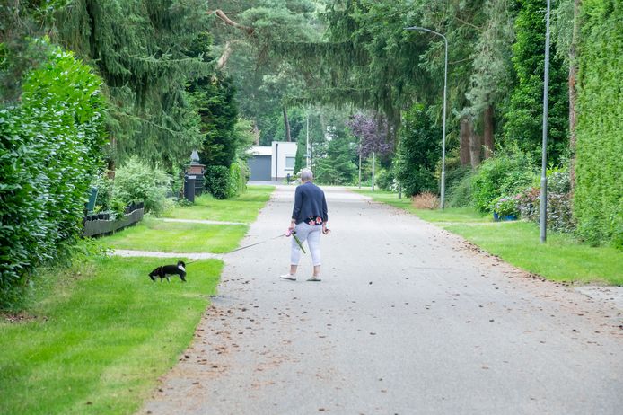 De Marijkelaan in Ermelo-Noord is nu nog een oase van rust. Maar de bewoners vrezen dat het daarmee gedaan is als de wijk volledig wordt opengegooid.