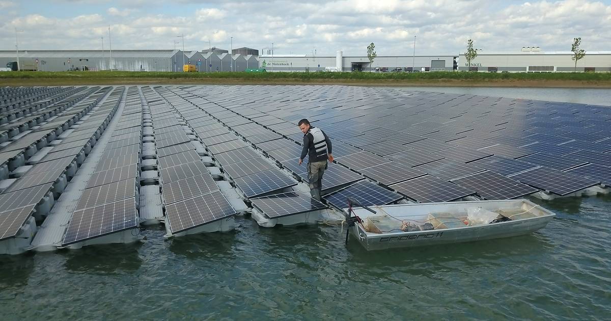Streep door drijvend zonnepark in Azewijn: energieopwekking in rustgebied mag niet
