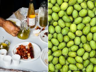 Van olijf tot olijfolie: 3 Vlaamse olijfboeren verklappen hoe je kwaliteit herkent: “Als ik olijfolie onder 15 euro zie dan gaan er alarmbellen af”