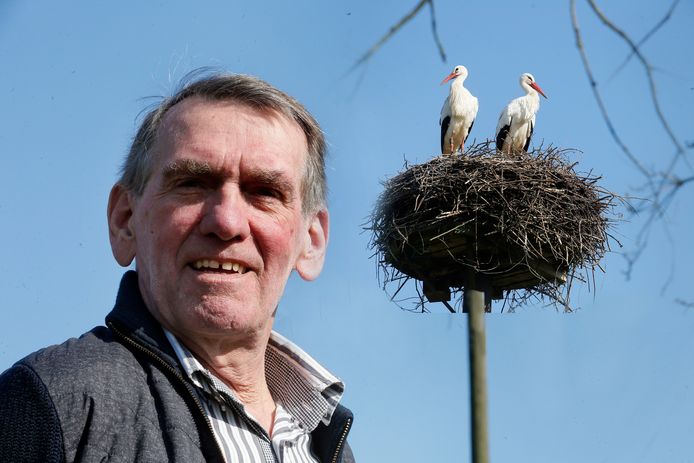 Arie Versluis, al jaren nauw verbonden met alle ooievaars in Vijfheerenlanden, maakt zich op voor een nieuw broedseizoen. Een nieuwe camera op het nest in Schoonrewoerd geeft een extra scherp beeld van alle avonturen.