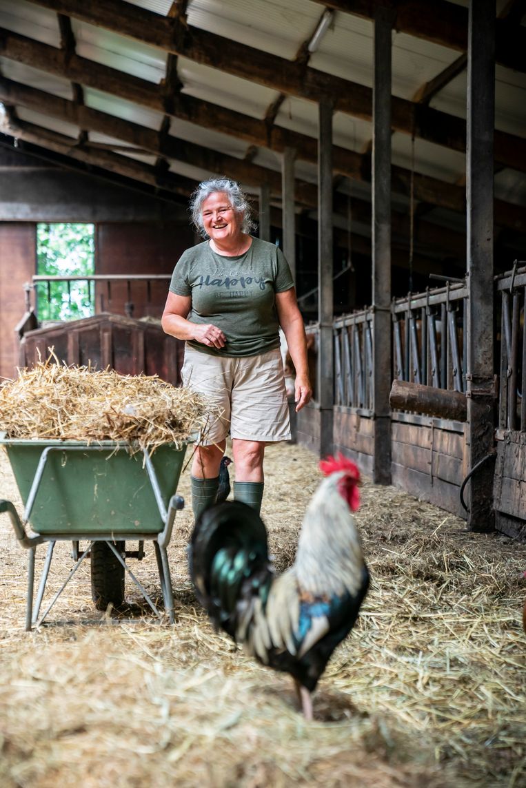Dittie van Zee: ‘Ik begrijp de frustratie, maar ik hoop dat boeren ook openstaan voor andere geluiden in de samenleving’. Beeld Maikel Samuels