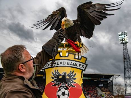 Op pad met zeearend Harly, die Go Ahead Eagles pas écht vleugels geeft: ‘Ook een hond loopt weleens weg’