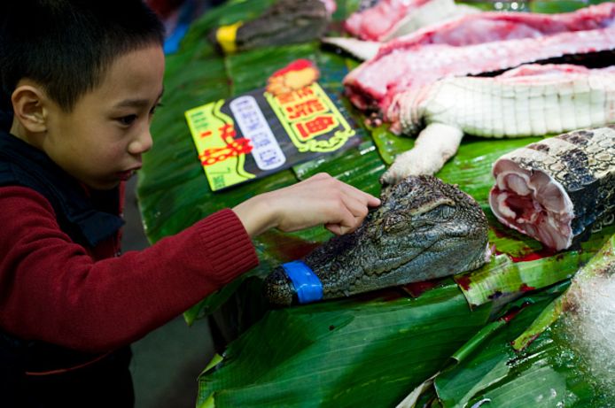 Corbis via Getty Images