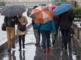 Des passants bravent la pluie devant le Palais royal de Bruxelles.