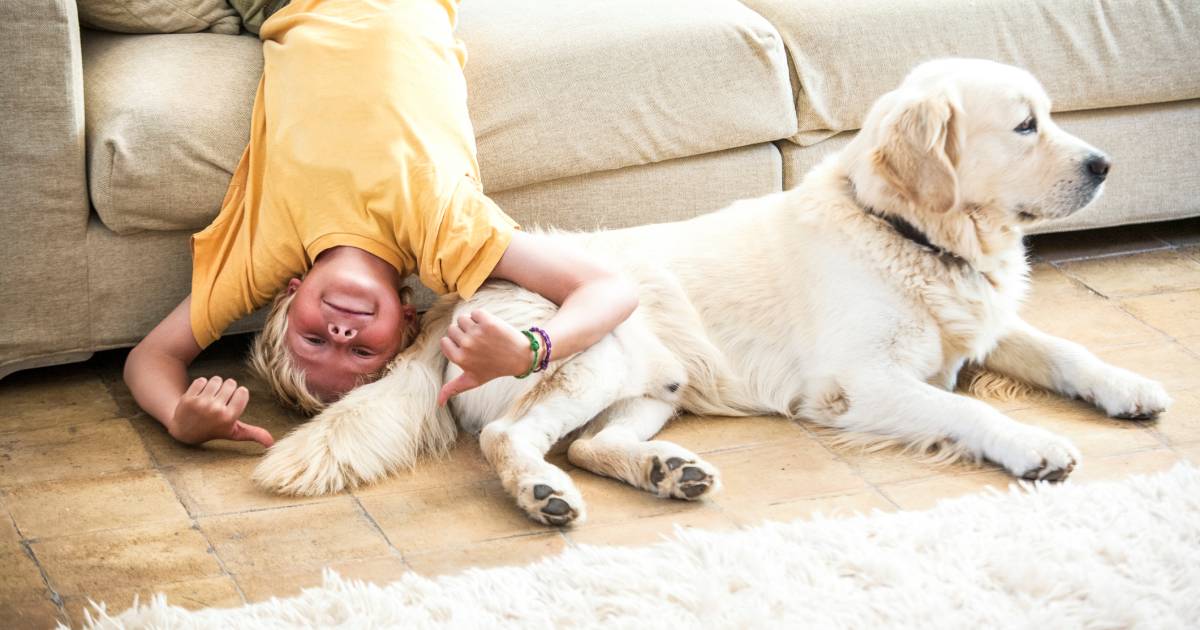 Goed nieuws voor dierenliefhebbers: "Wie woning of flat ...