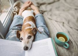 Griep? 5 gouden tips om snel beter te worden