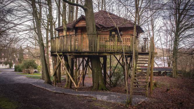Déconnexion totale durant une nuit en haut des arbres