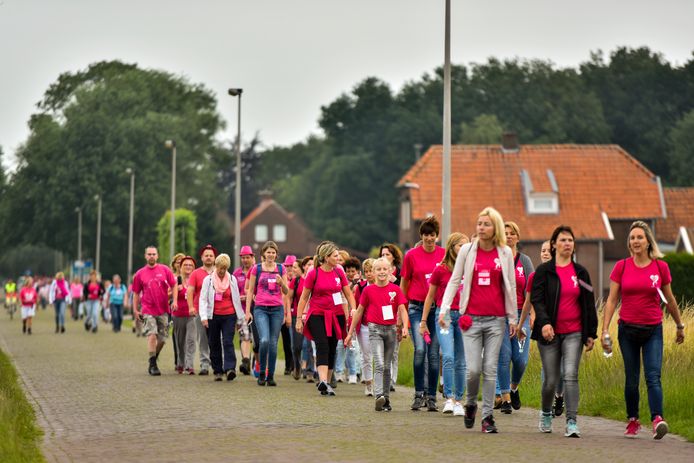Deelnemers aan een eerdere wandeltocht voor Pink Ribbon, in Drunen.
