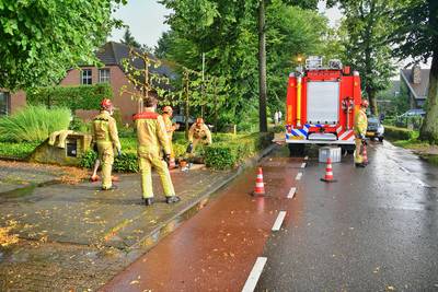 Storm waait bomen om in Steensel, brandweer rukt uit