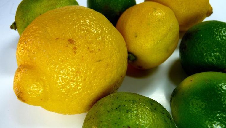 Heden lelijke citroenen koop | Parool