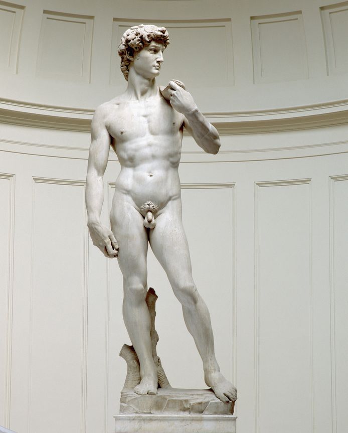 ‘David’ van Michelangelo in de Galleria dell’Accademia in Florence (Italië).