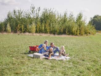 Picknicken doe je deze zomer in Sterrebos, Stadspark en voor het eerst ook in Bergmolenbos