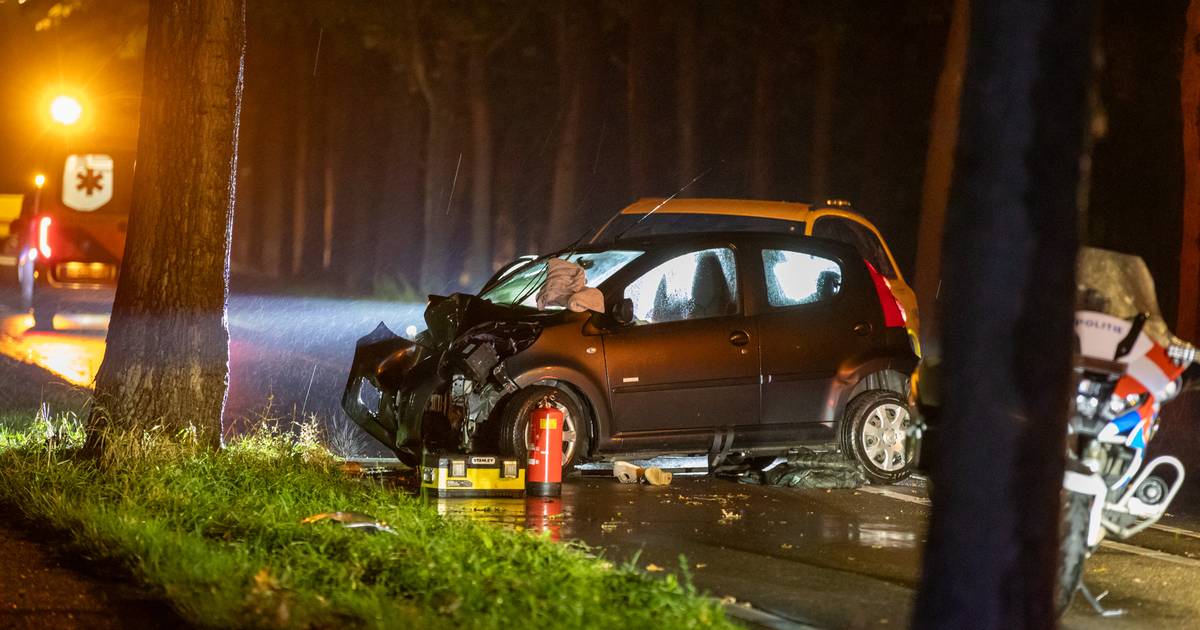 Automobiliste overleden na botsing tegen boom.