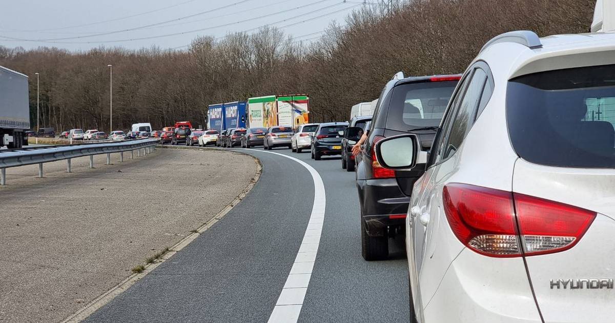 Flinke file na aanrijding op A1 bij Borne.