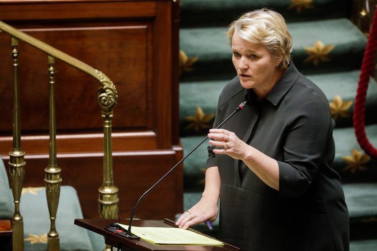 Federaal minister van Economie Nathalie Muylle (CD&V) werd pas in maart minister. Tot dan was ze een degelijk, maar onopvallend parlementslid. Beeld BELGA