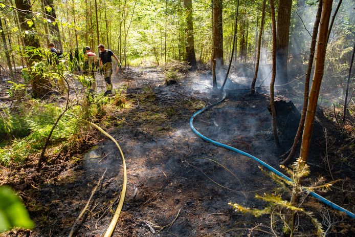 De vuurhaard in een bos bij Schalkaar was heel moeilijk bereikbaar voor de brandweer