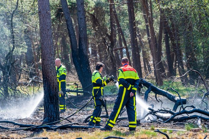 Brand in bossen bij Tilburg