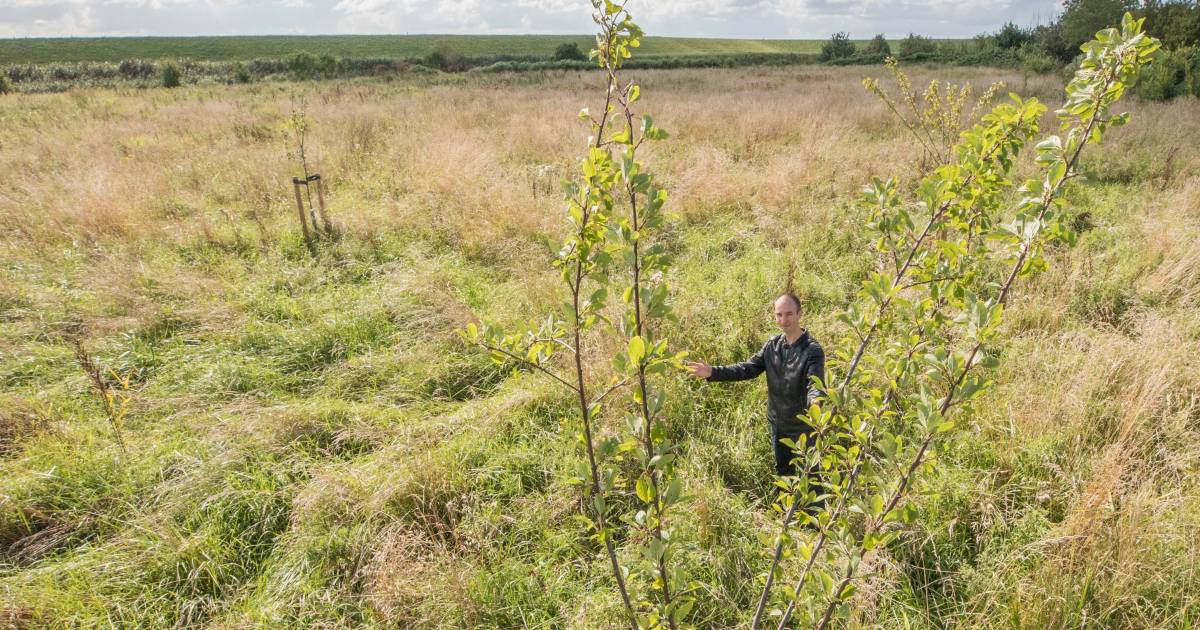 Pieter jaagt zijn droom na en begint een voedselbos bij Hoedekenskerke