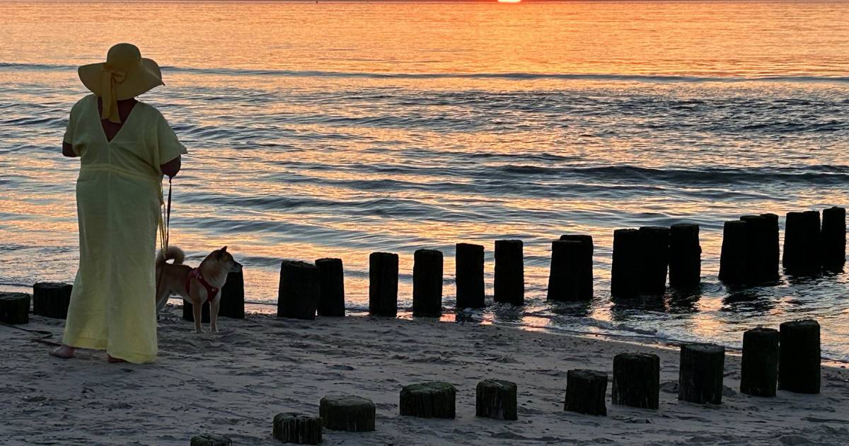MIJN FOTO | Domburg heeft haar eigen koningin van het strand