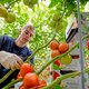 Cijfers liegen niet, maar geldt dat voor werkloosheid?
