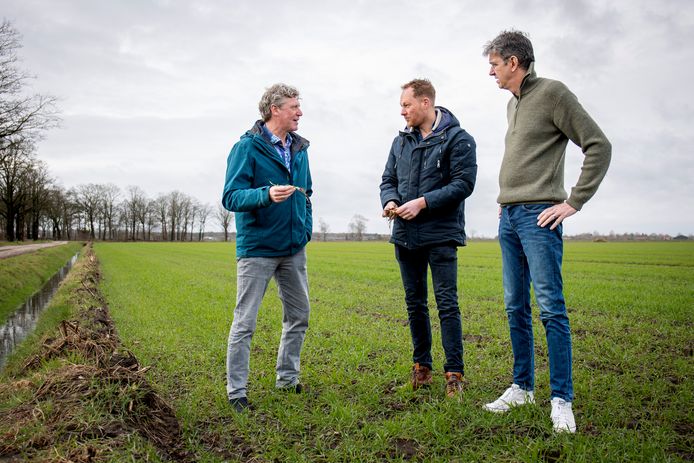 Vlnr Joost Lobée (directeur Compaen), akkerbouwer René van de Gevel en Harold van de Ven (Building Balance) op het veld met wintertarwe in Borkel en Schaft.