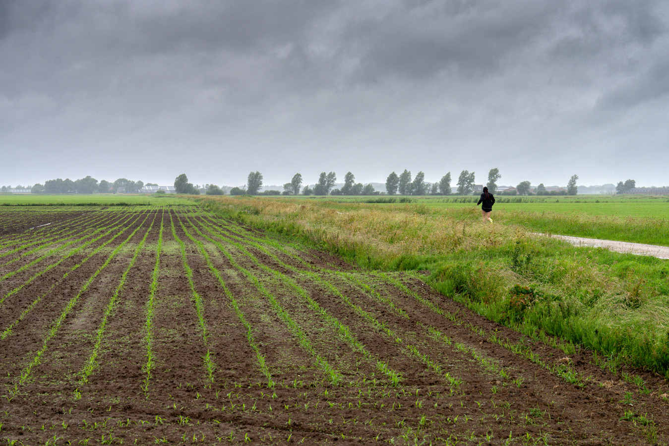 Meer windmolens dan verwacht in Bossche polder ‘Niet meer afhankelijk