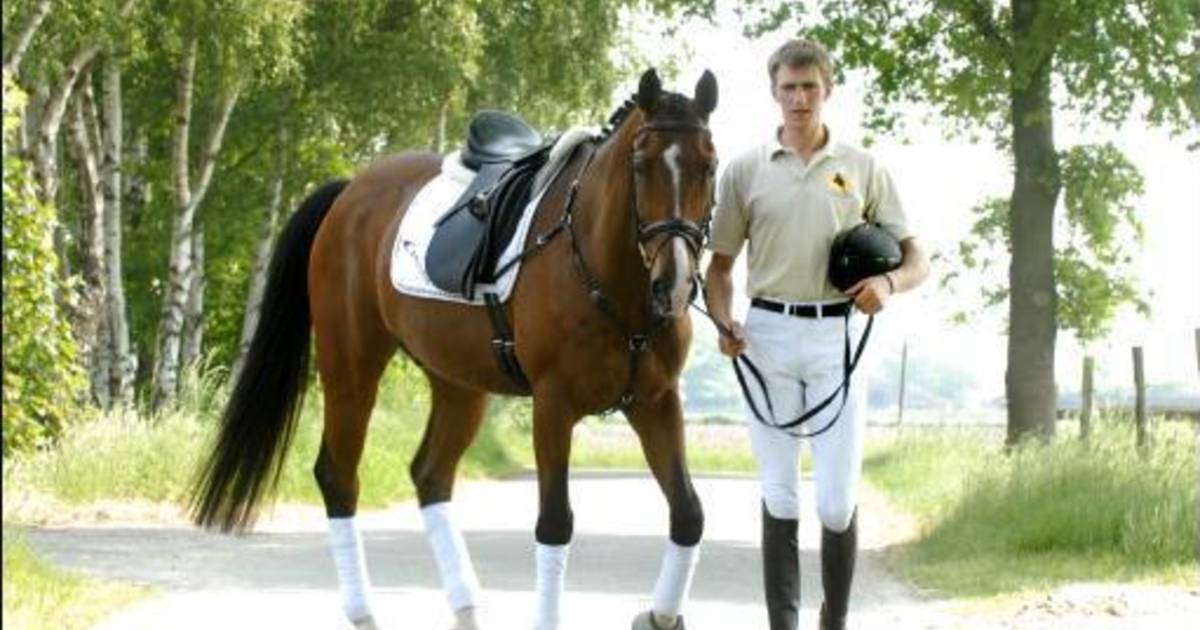 Aantal ongevallen met paarden op de openbare weg stijgt Binnenland hln.be