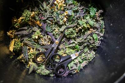 Woning in Liessel op slot na hennepvondst