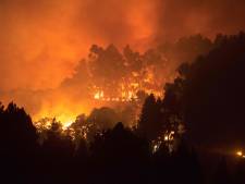 Dorp en luxe hotel Gran Canaria ontruimd na nieuwe bosbrand