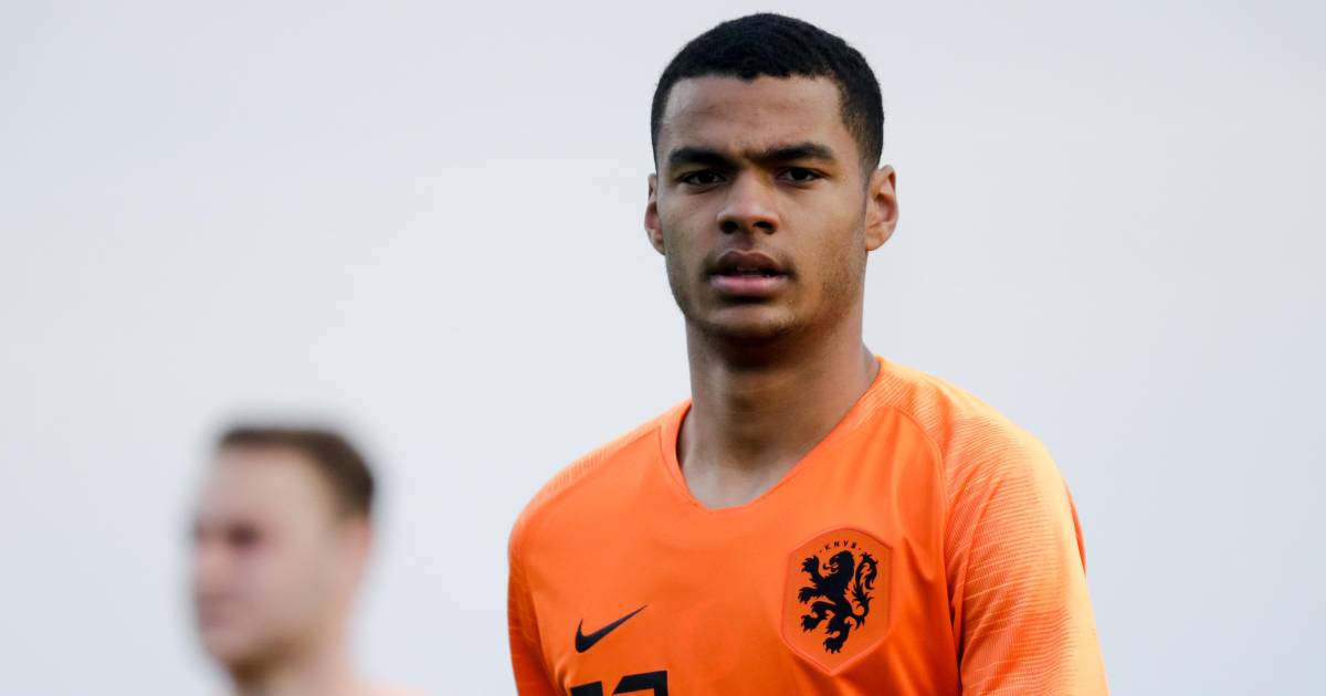 Gakpo schiet Jong Oranje naar oefenzege op Egypte ...