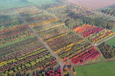 Dion laat zien hoe mooi de herfst kan zijn