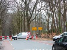 Waarom veel tv-kijkers uitkijken naar een ‘gruwelijke gebeurtenis’ in dit bos
