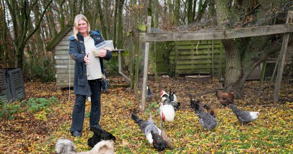 Springlevende Sonja doodverklaard door gemeente Maasdriel | Bommelerwaard - BD.nl