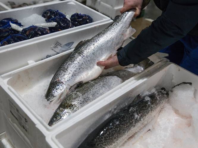 Schotse vis niet vers genoeg in Europa door brexitgerelateerde grensvertragingen: prijs ingestort
