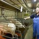 Goede bacteriën nemen plaats in van antibiotica