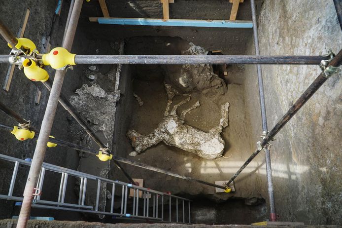 Eerder deze maand werd een compleet skelet van een paard aangetroffen bij uitgravingen in de Italiaanse plaats.